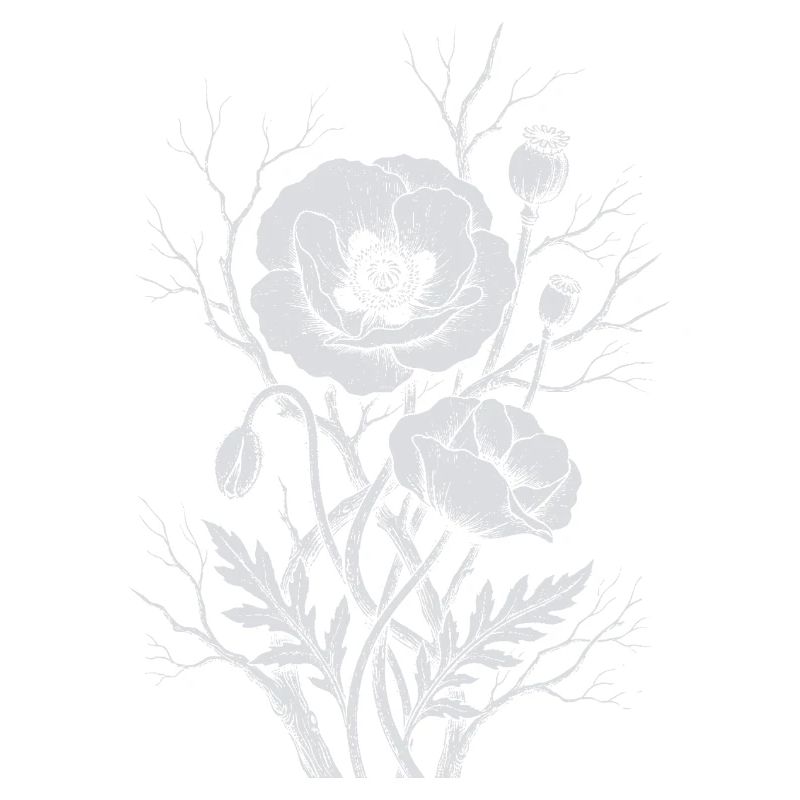 Fleurs de pavot