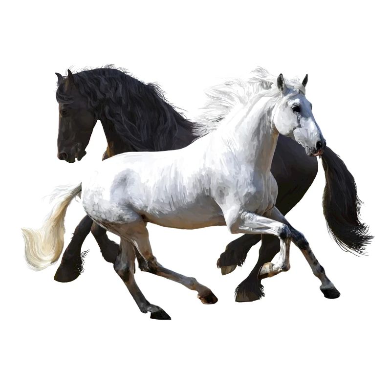 Horses