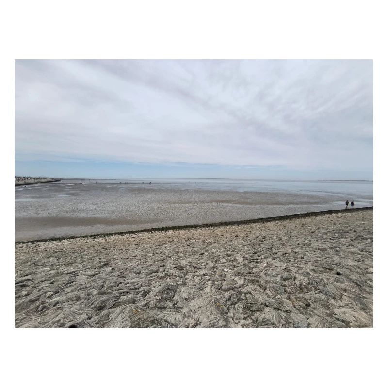 Image de sable et d’eau de la côte de la mer du Nord