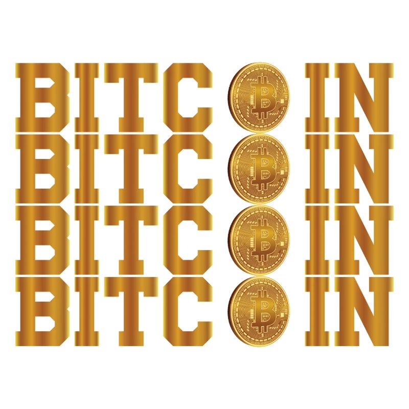 Le bitcoin