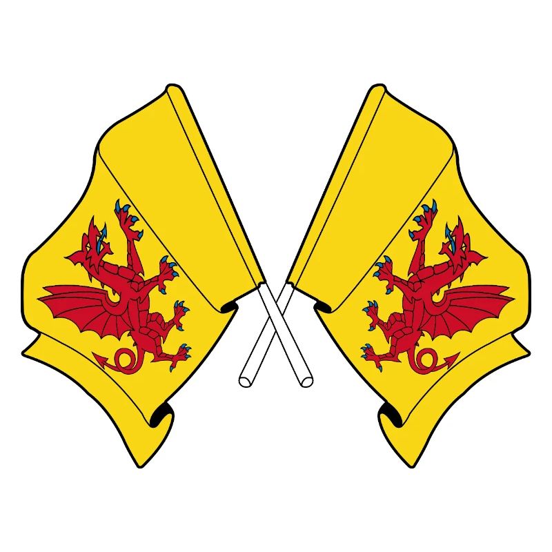 Two flags crossed – Somerset