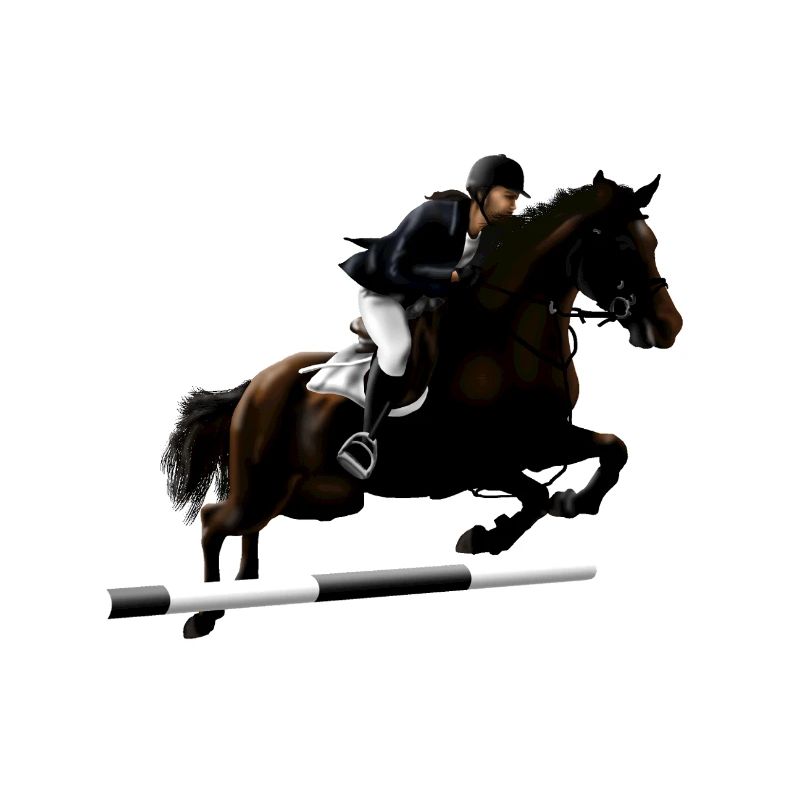 Cheval cabré avec cavalier