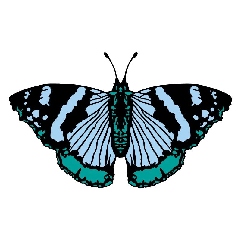 Papillon papillon