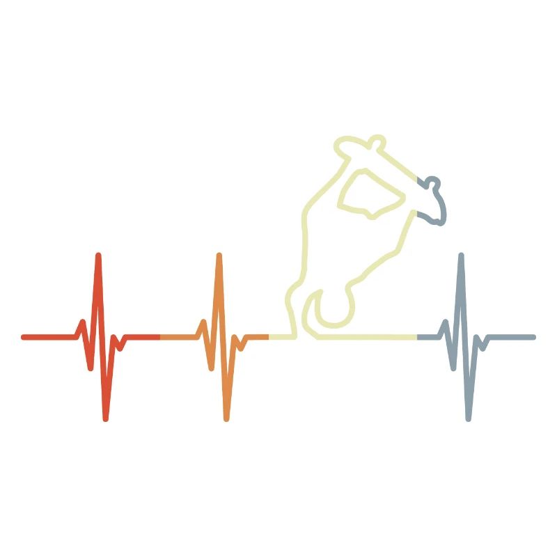 Skateboarder Cardiogram