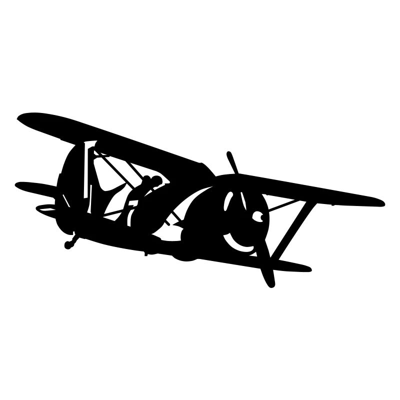 Biplane i-153