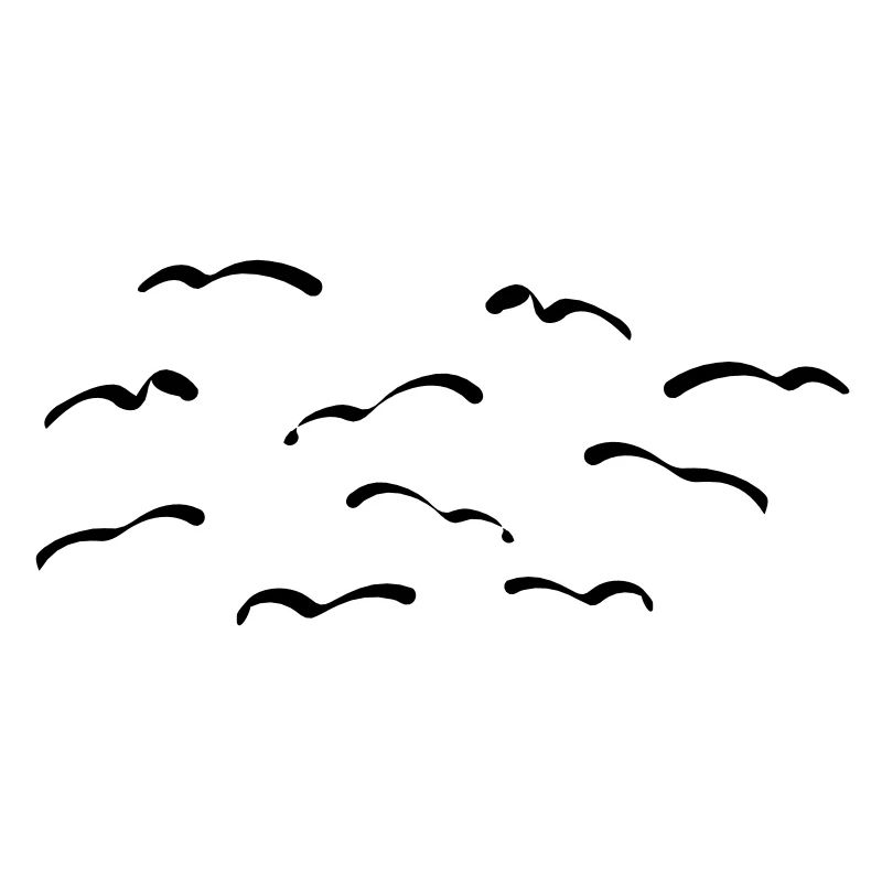 Oiseaux