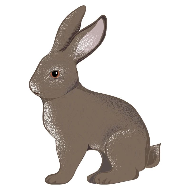small rabbit