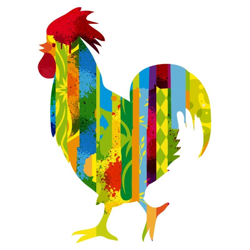 Un coq coloré