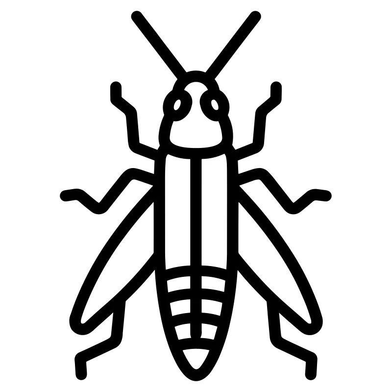 grasshopper