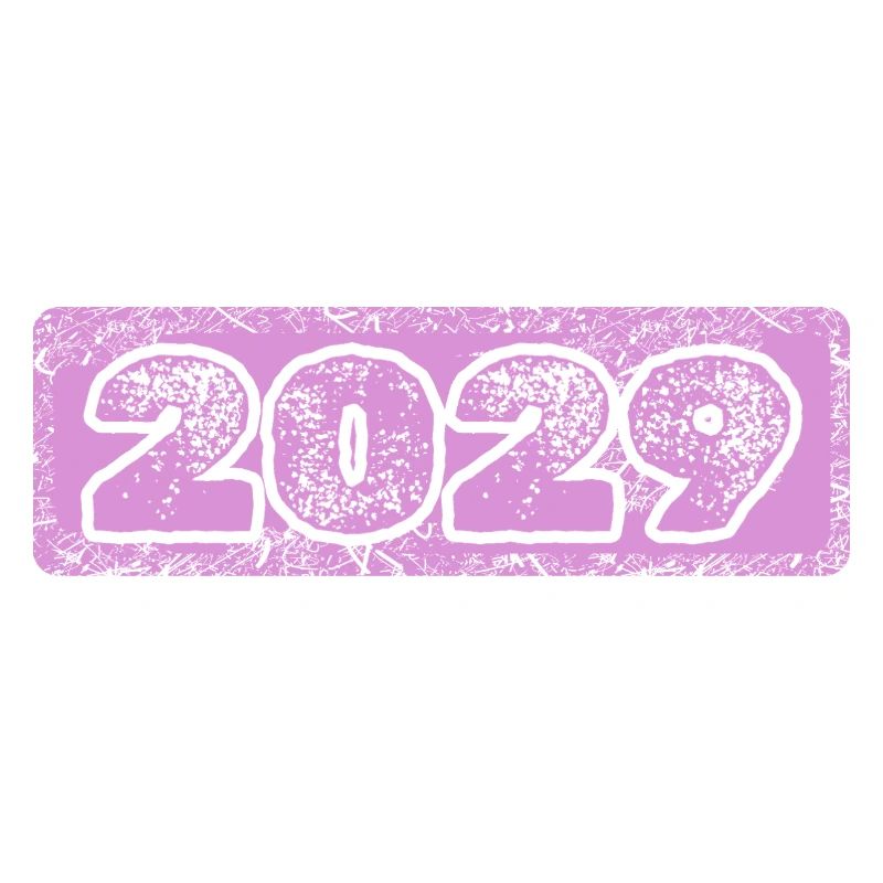 Year 2029
