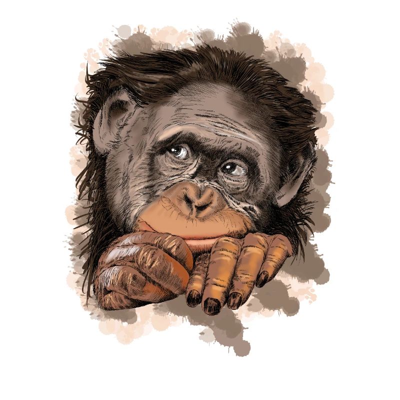 Monkey