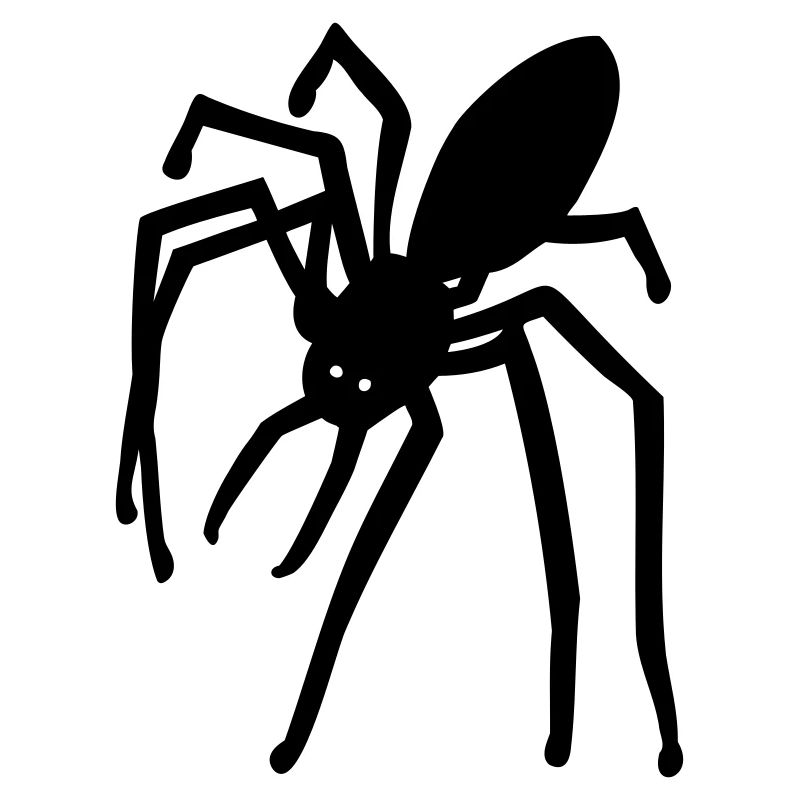 Spinne