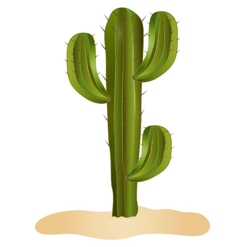 Grand cactus vert dans le désert dans le sable