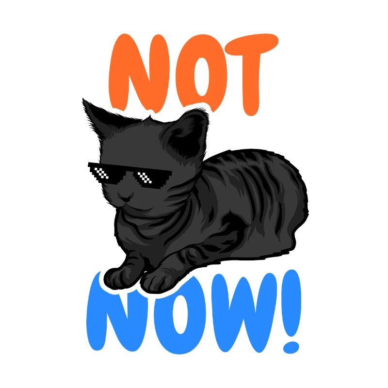 Drôle de chat