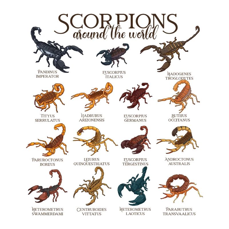 Scorpios Worldwide - Scorpio