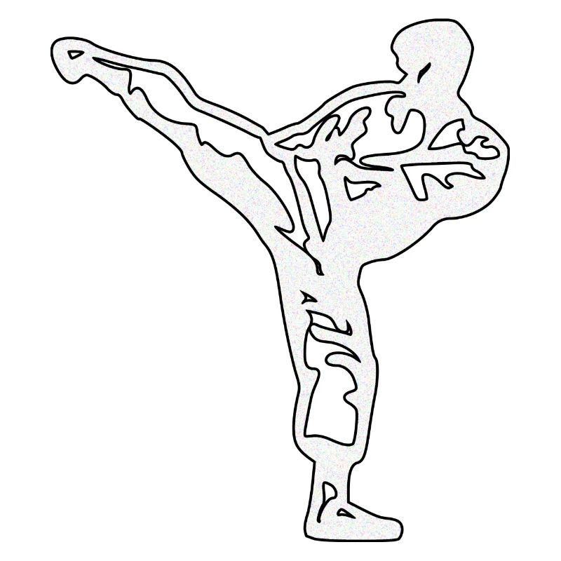 karate silber