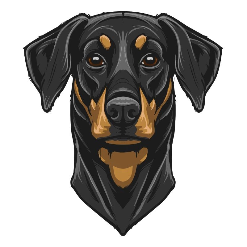 Dobermann