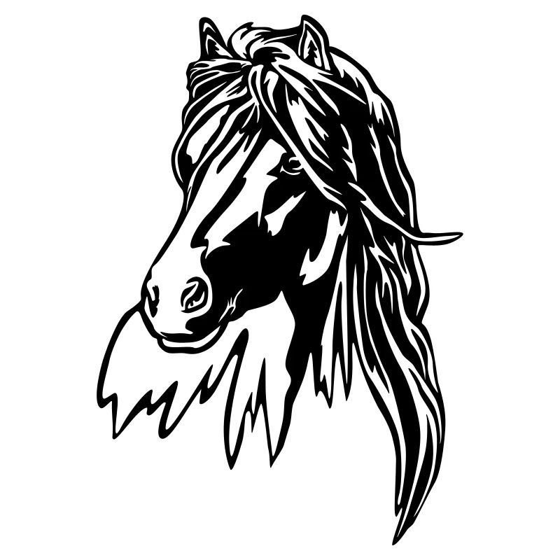 Tête de cheval