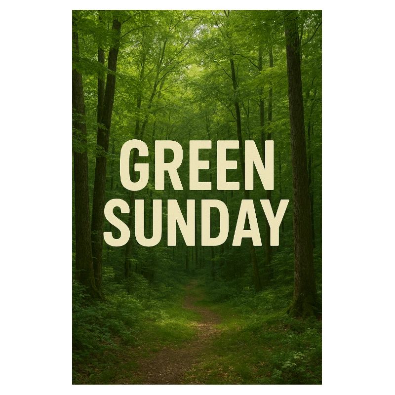 Dimanche vert dans la forêt