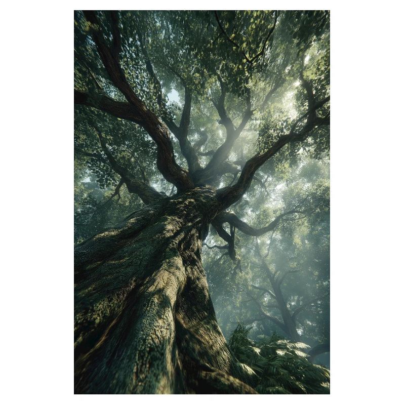 Uraltes Waldlicht