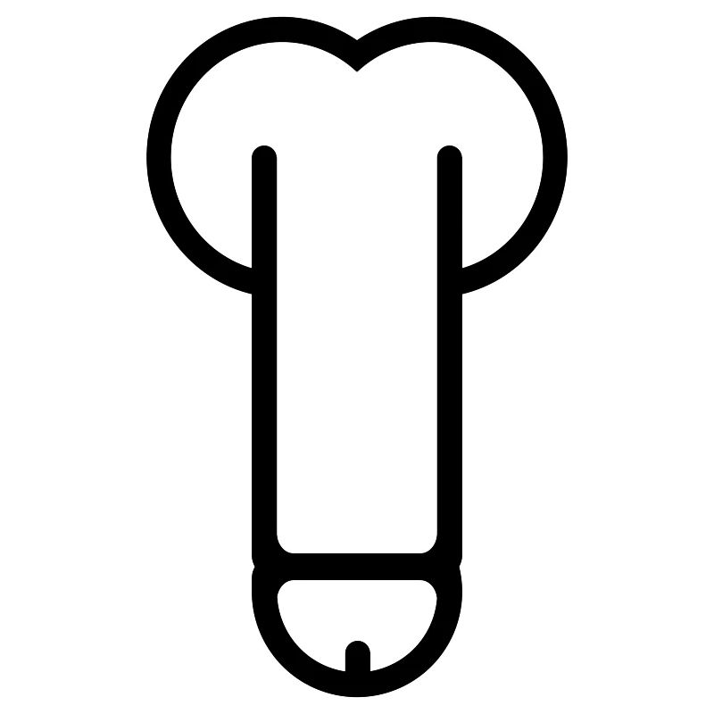 dick