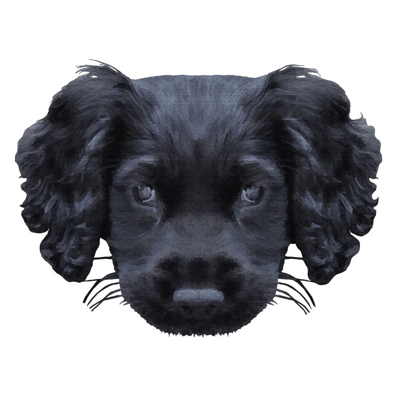 weihnachtsgeschenke für jedermann, Cocker spaniel