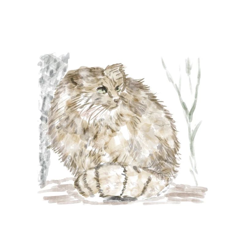 Chat sauvage de Manul