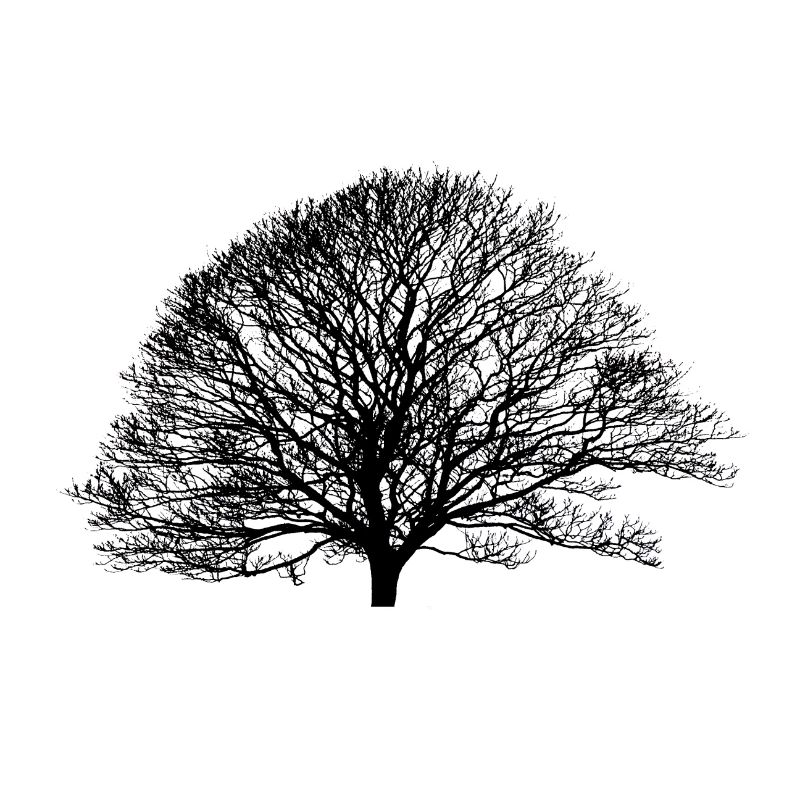 Shadow_no logo