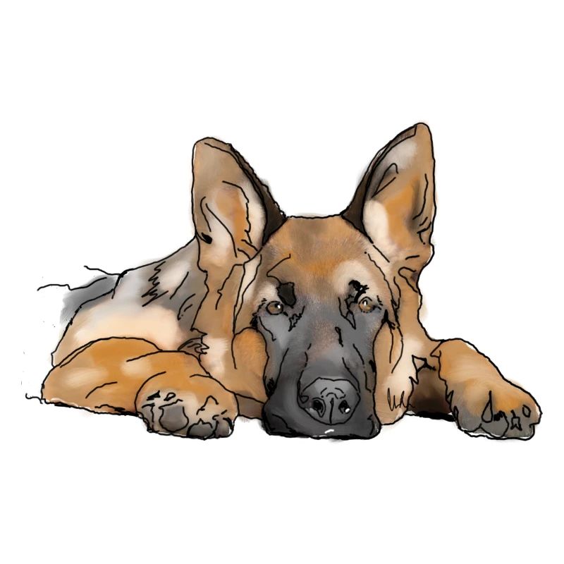 Schäferhund