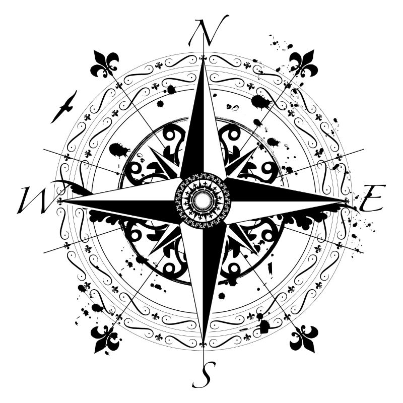 wind rose grunge style