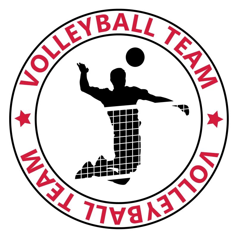 l'équipe de volley-ball
