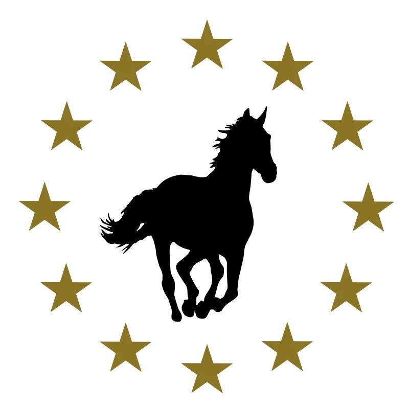 Pferd & Sternen