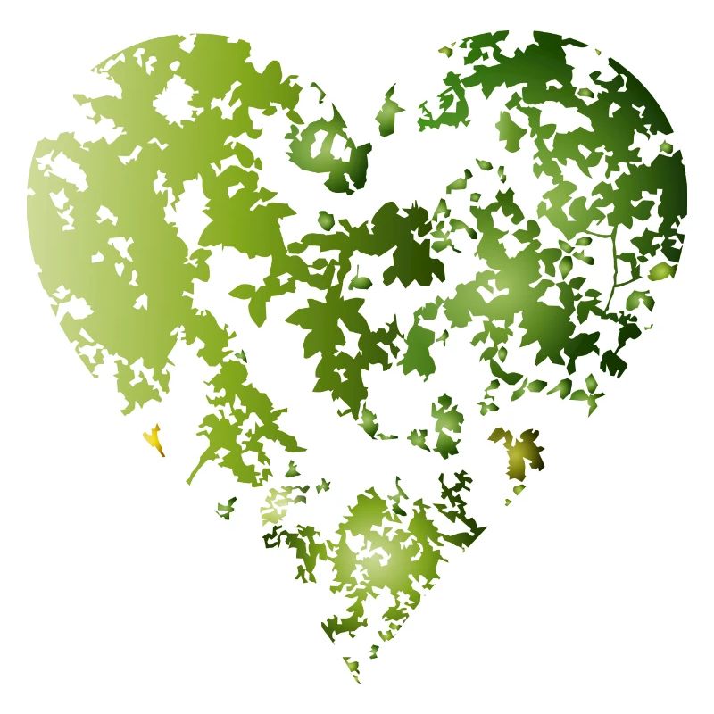 canopée verte d’une forêt en forme de cœur