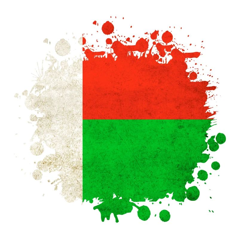 Madagaskar Flaggen Klecks