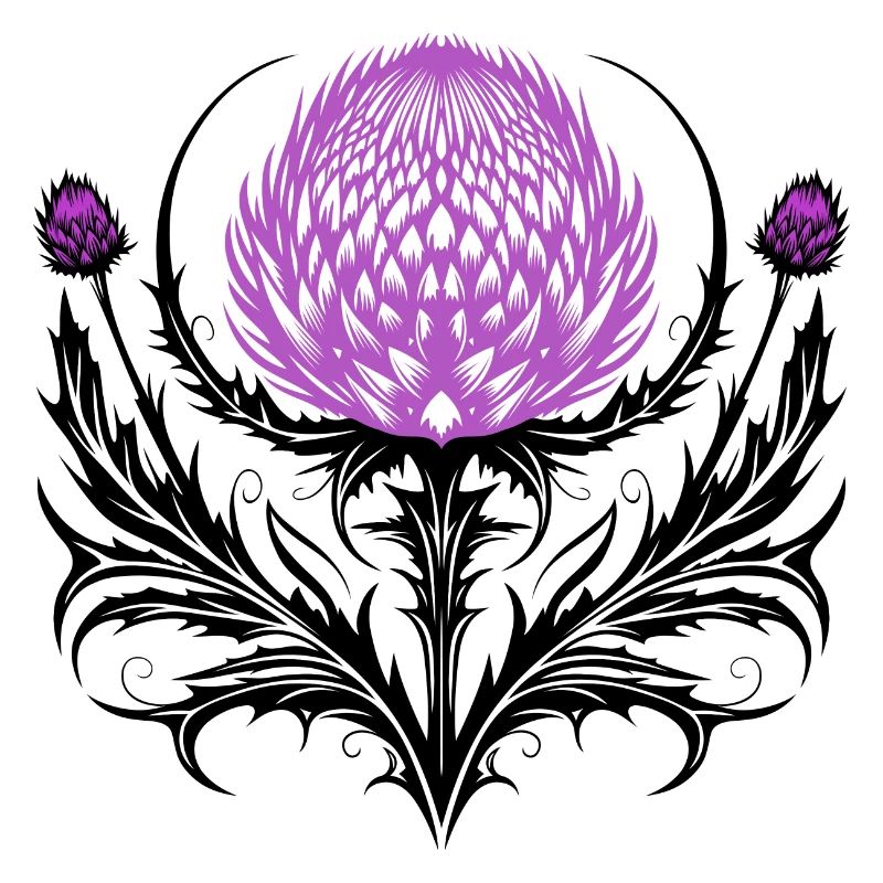 Distel Tattoo Chardon Ecossais Art Botanique