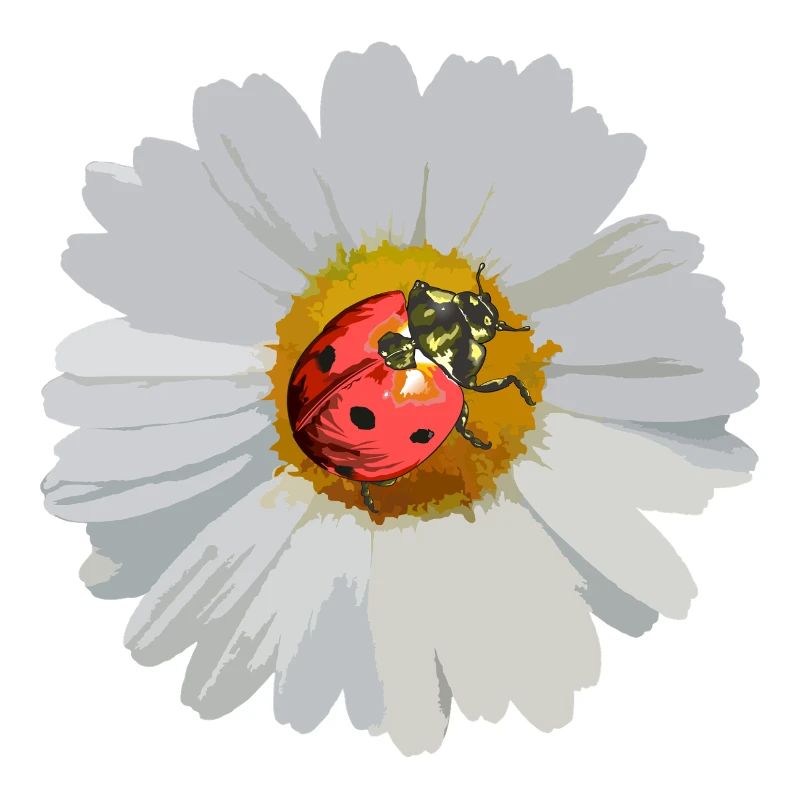 Daisies with Ladybug Motif