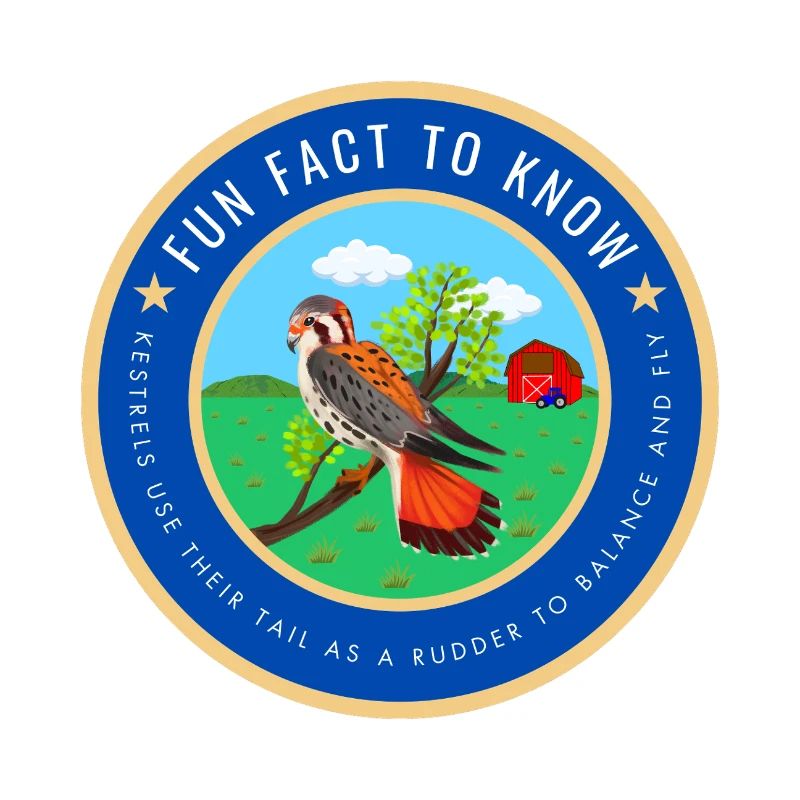 Kestrel fact