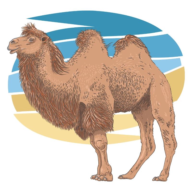 Camel