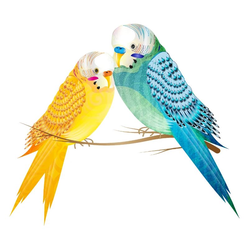 Deux perruches sur une branche aux couleurs pastel