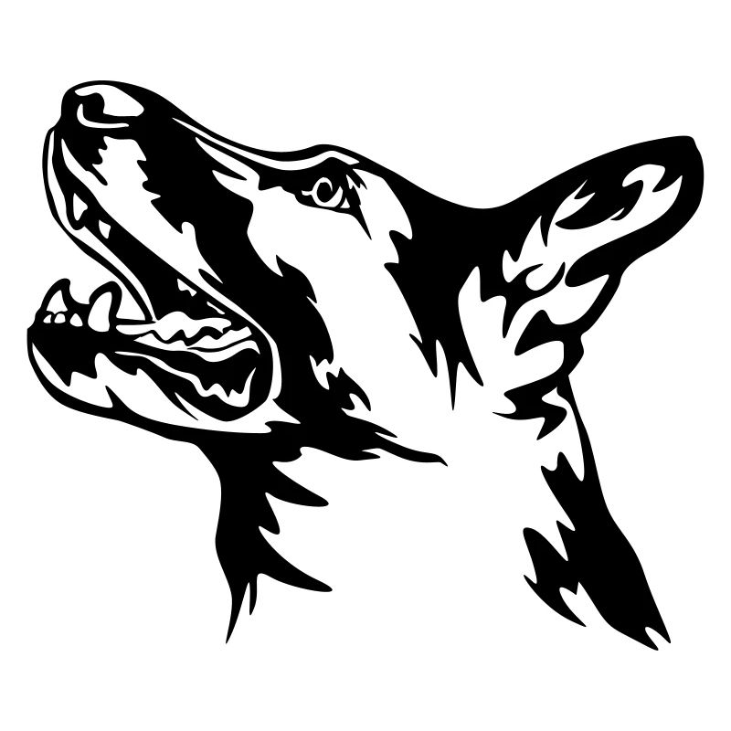 Deutscher Schäferhund Kopf