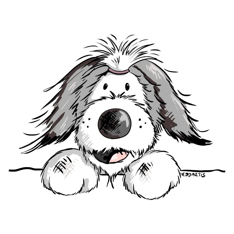 Happy Bearded Collie