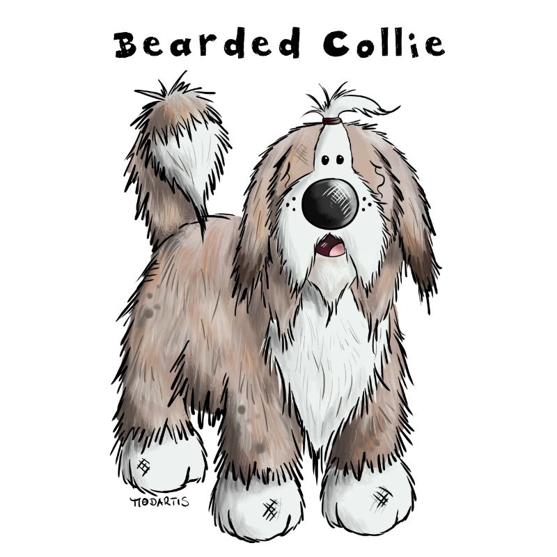 Happy Bearded Collie
