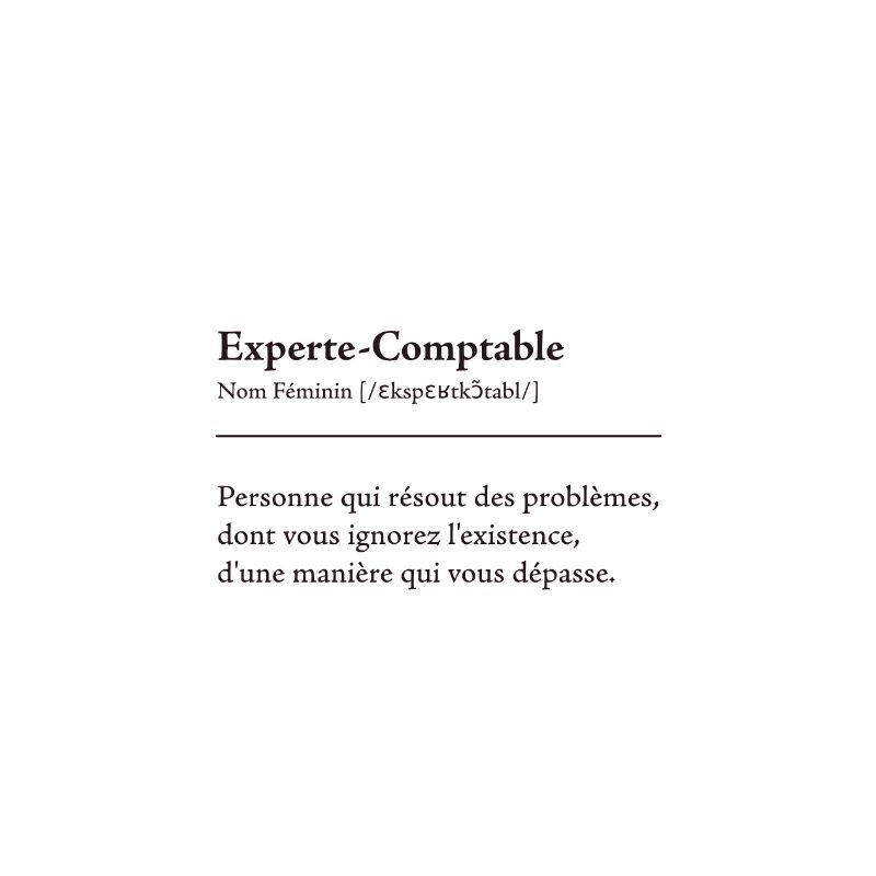 Experte Comptable Definition
