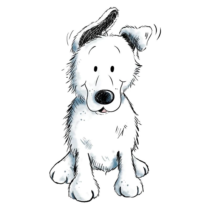 Weißer Schäferhund | Schweizer Schäferhund