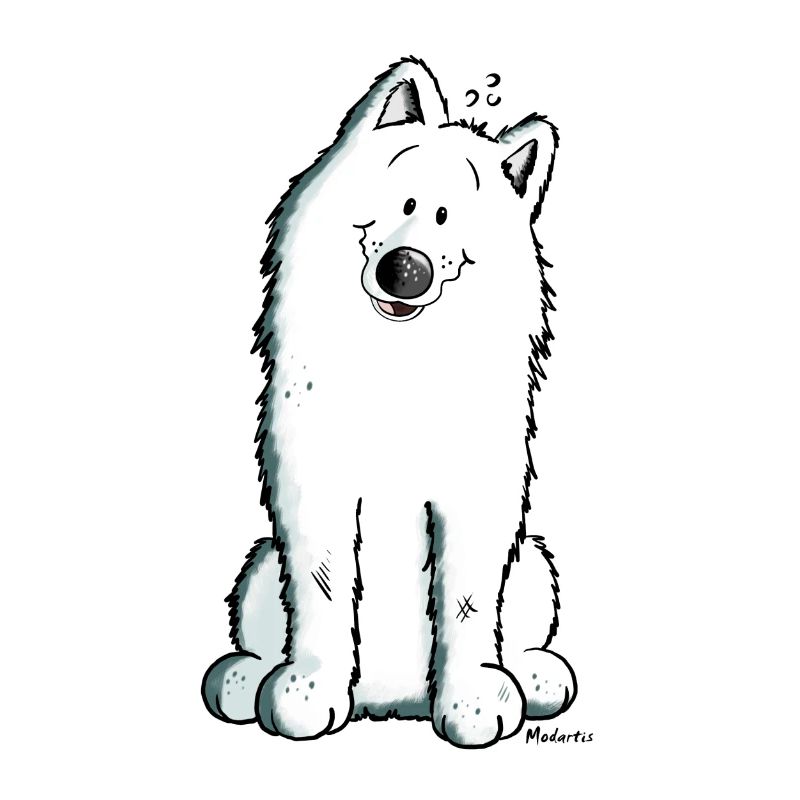 Cute Samoyed