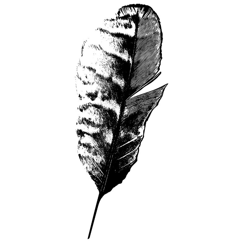 Plume d’écriture