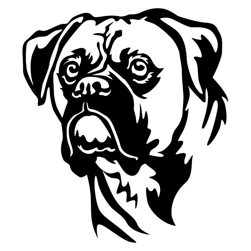Boxer Head