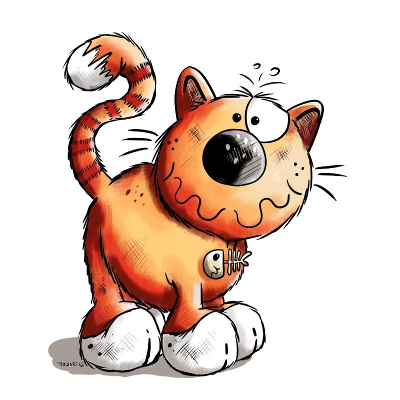 Adventurous Cat