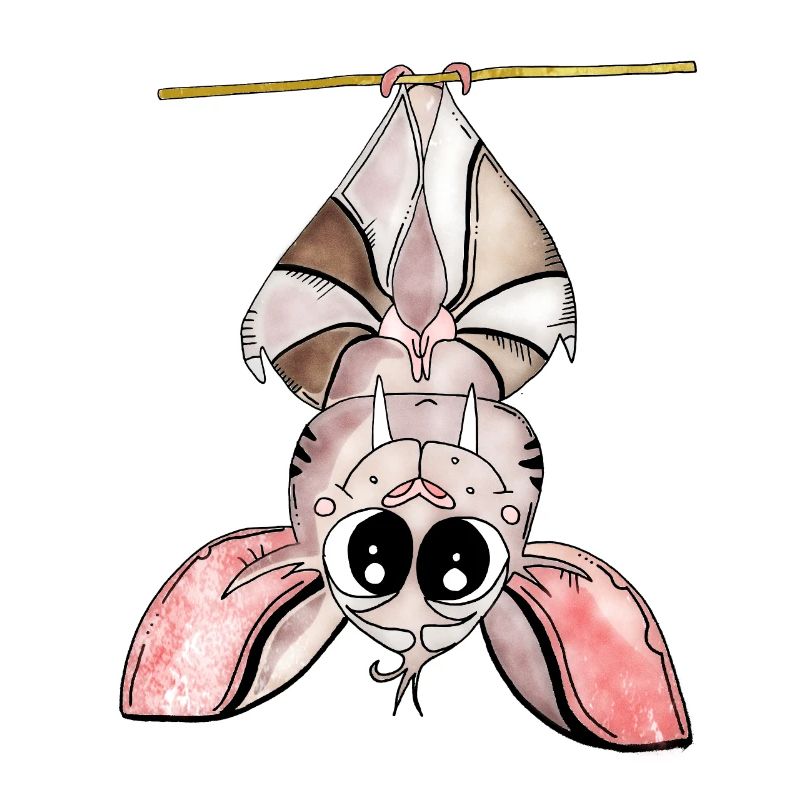 Kawaii Bat Neon Night