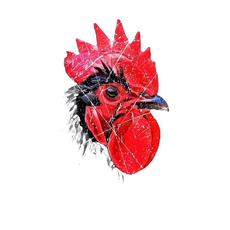 Tu as vu le poulet coq cool